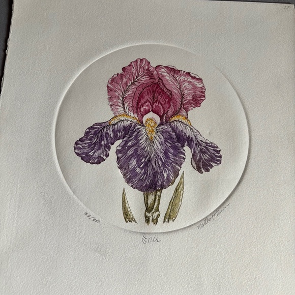 Iris etching signed/numbered Martha Hinson - Picture 1 of 4